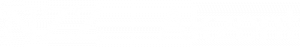 Logo-NZZ-Akzent